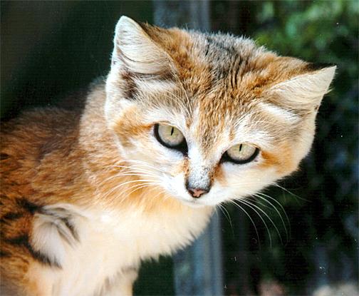 �������-�������