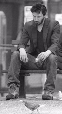 ���� �����