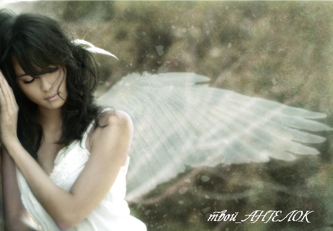 ���� �������