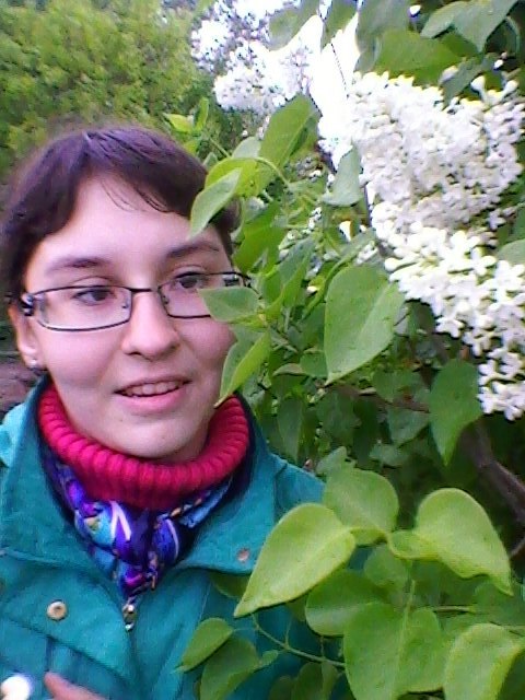 ������ ������