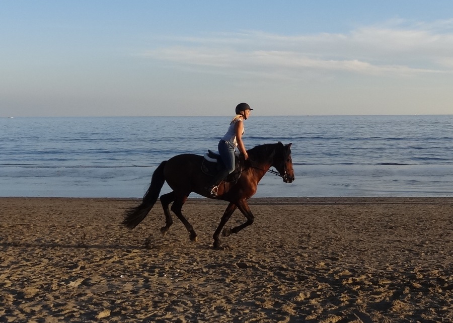 �������� ����