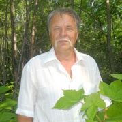 ���� ����� 2