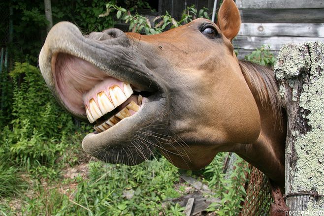 �������� ��-������