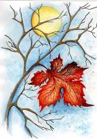 ������� ��������