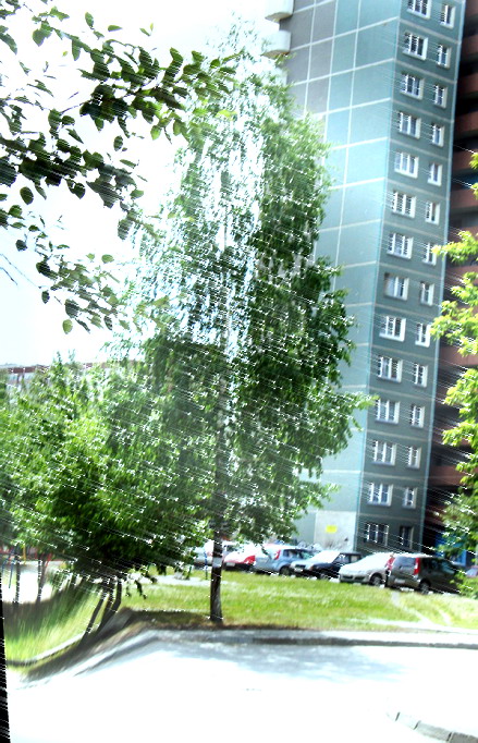 ������� �����������