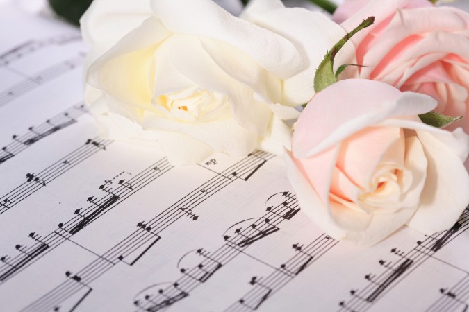 ������ ����