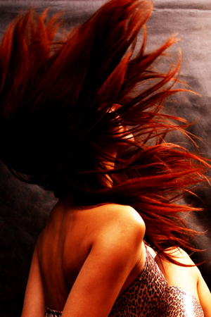 ���� ������