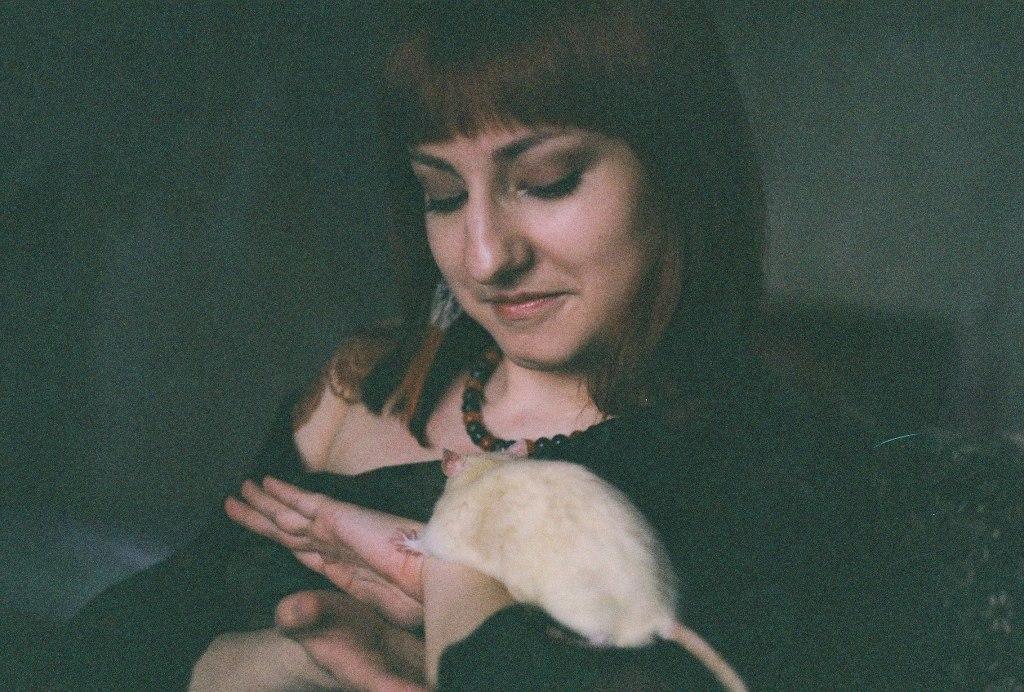 ������ ���������