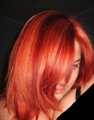 ������ ���������