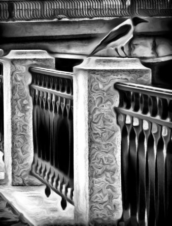 ����� �������