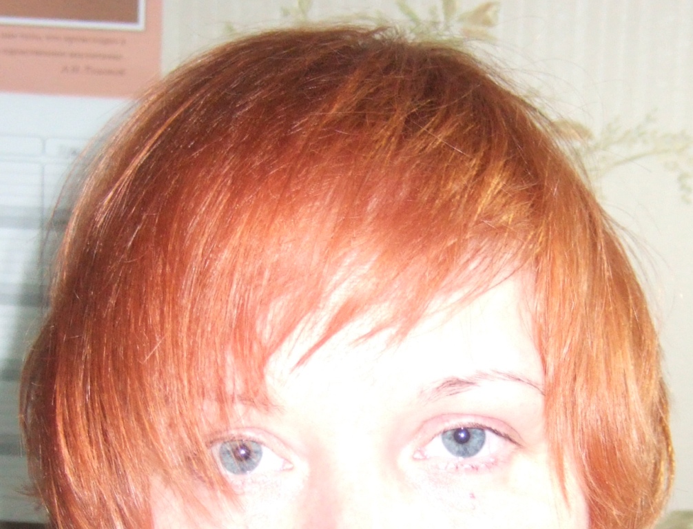 ����� �����