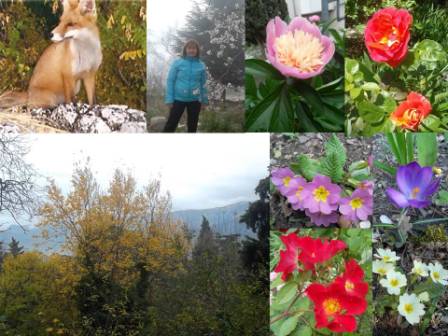 ���� ��������