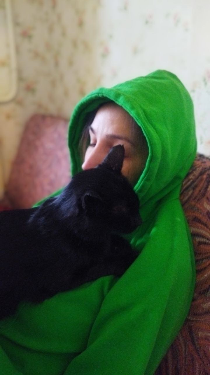 ������ ��������