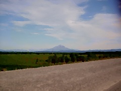 ��� ��������