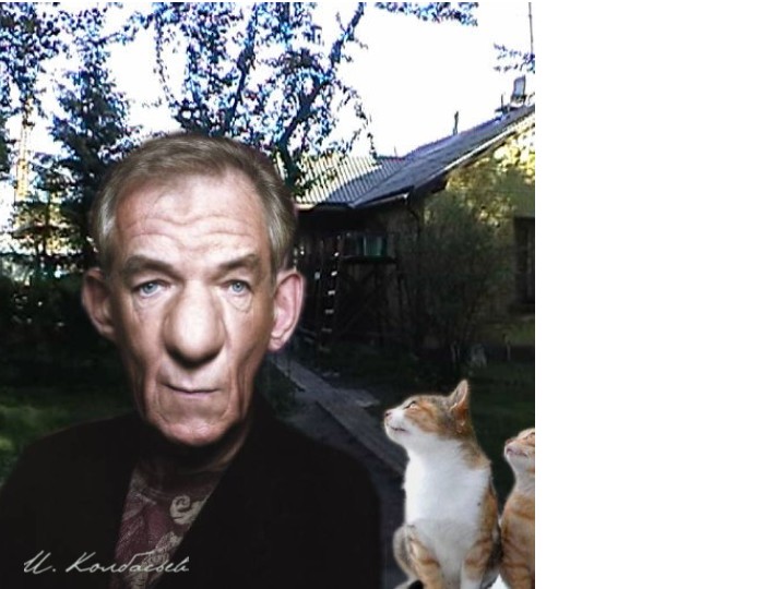 ���� ���������