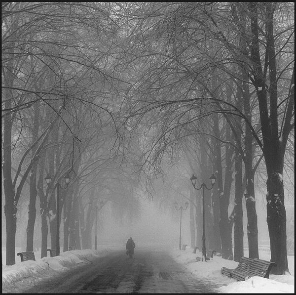 ������ ��������