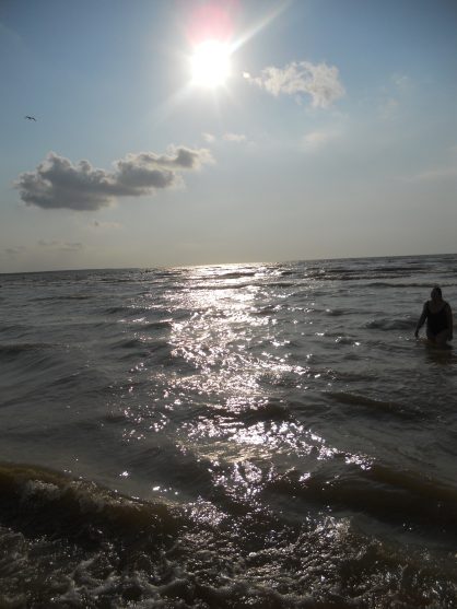 ���� ������