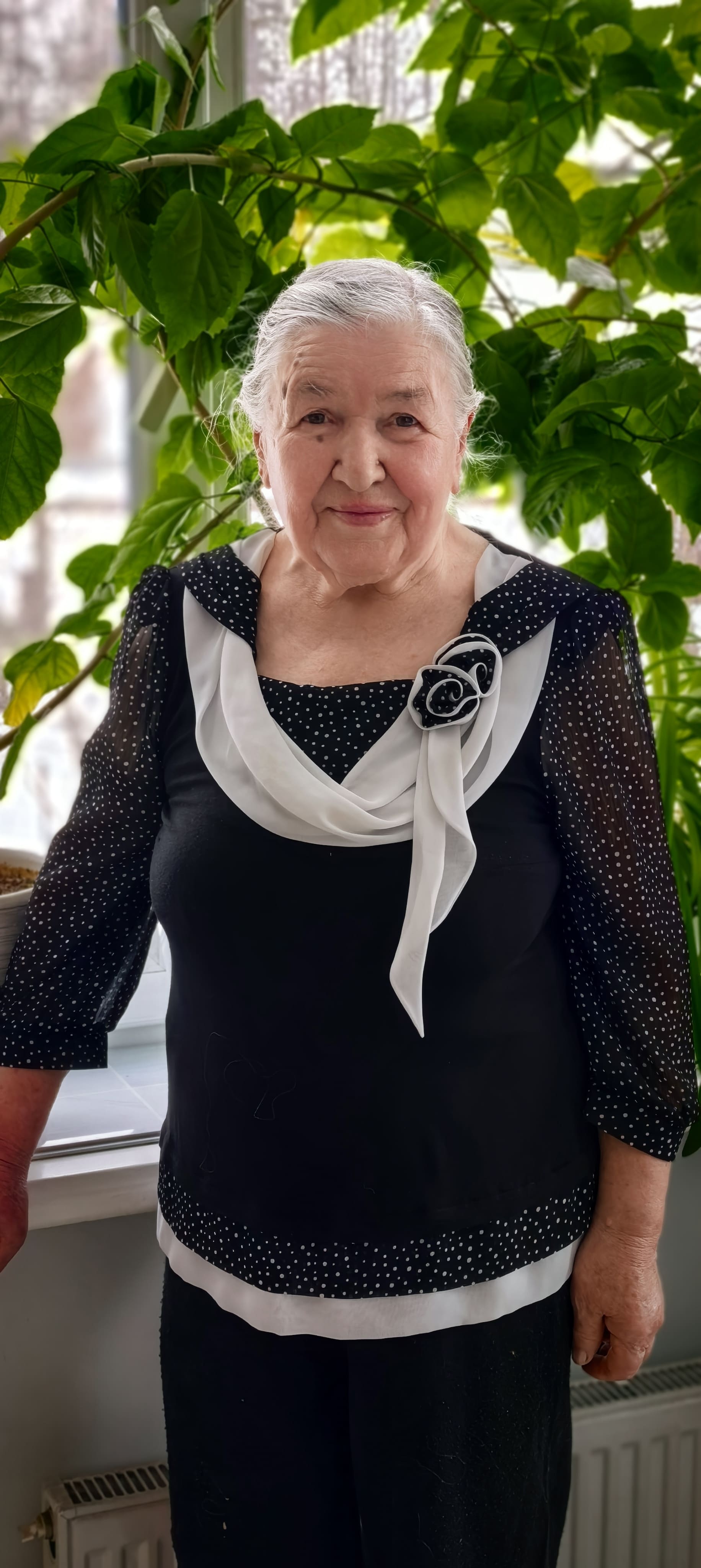 ��������� ��������������