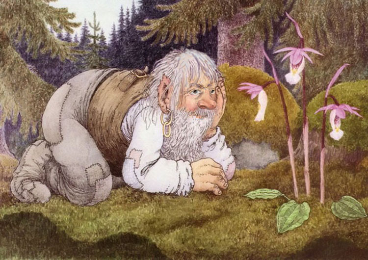 ������ ������