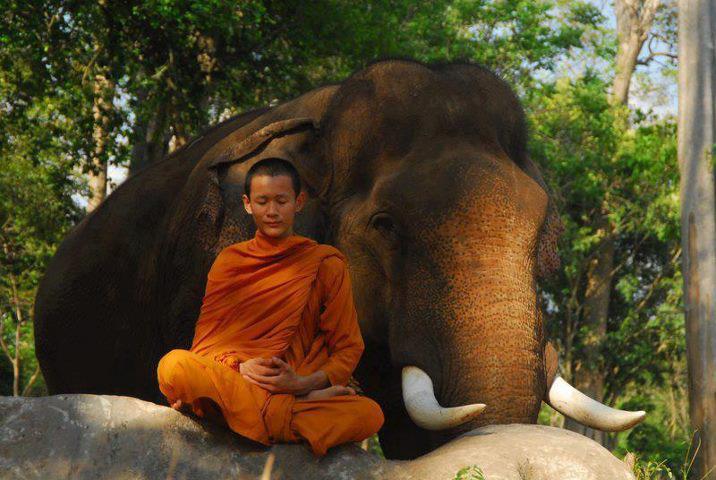 Валерий Лощицкий