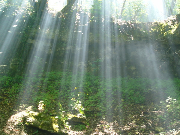 ��������� �����������