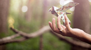 �������� ����