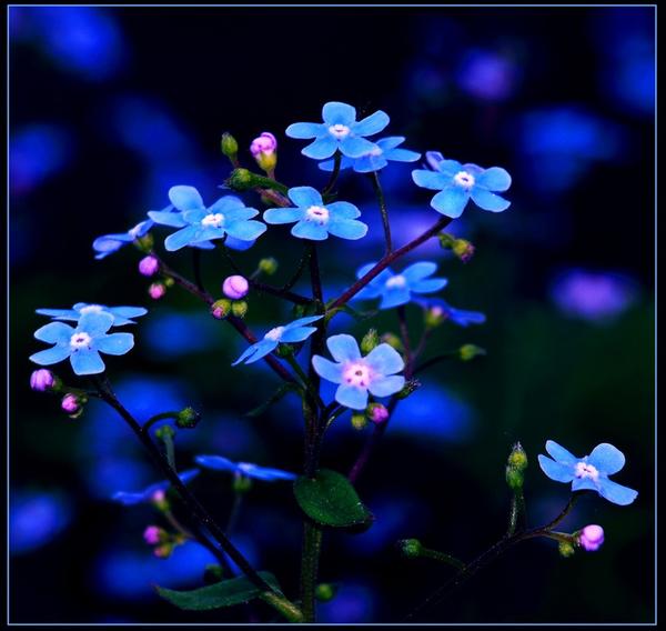 ���������07