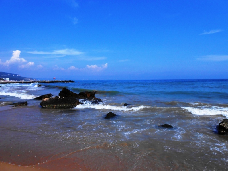 ������ ���