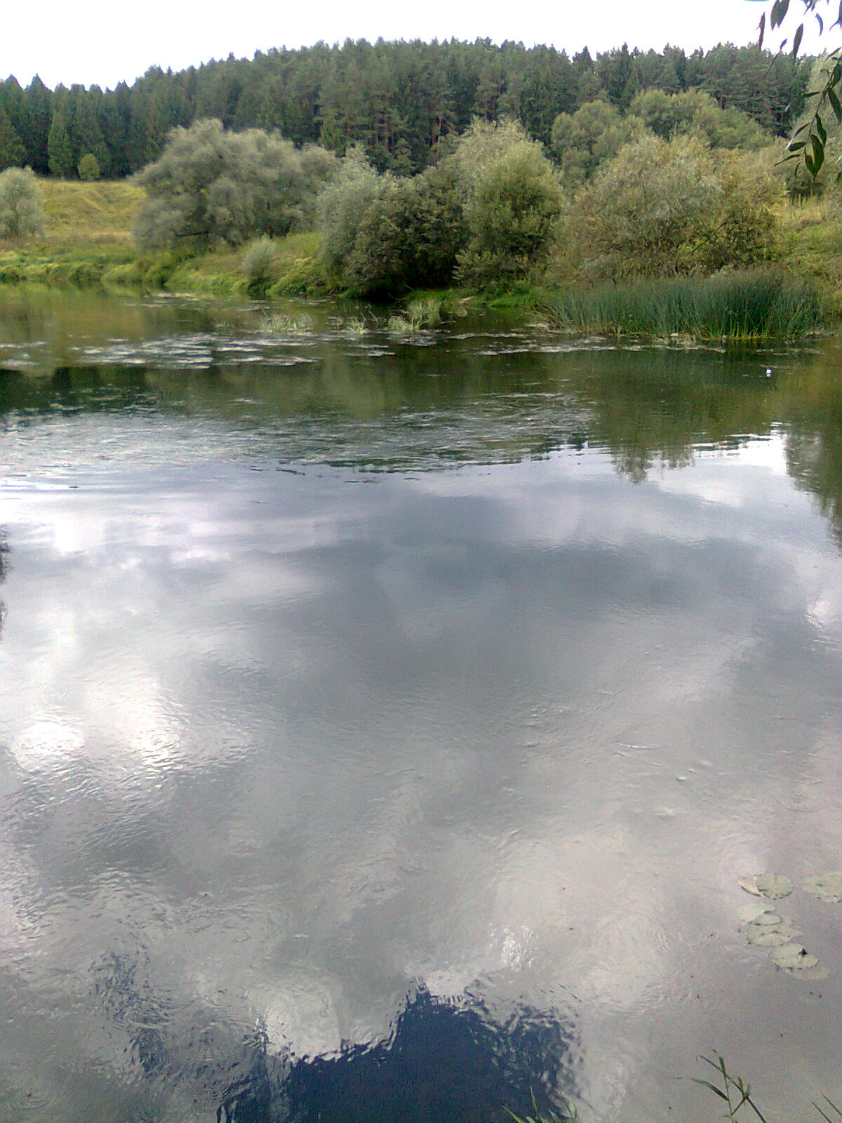 ���� �������