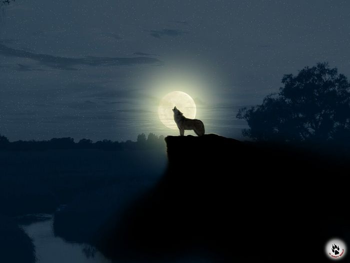 ���� ��������� ���������������