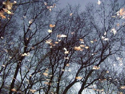 ������������ ��� �����