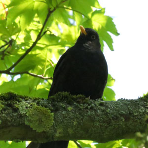 �������� �������� ������