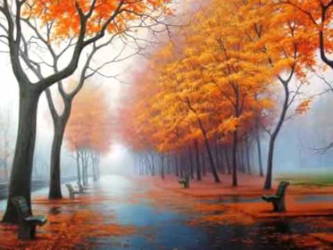 ���� ���������