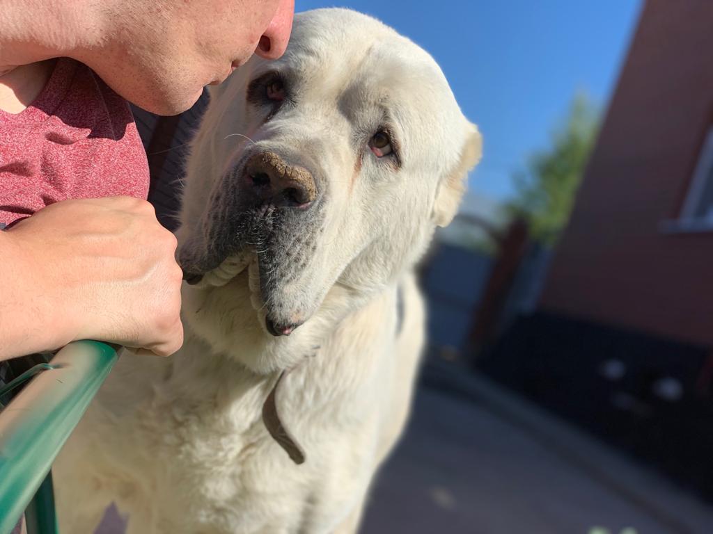 ������� ����������