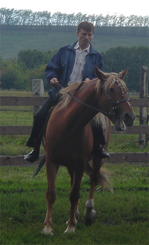 ������� �����������