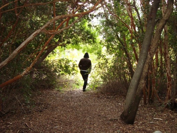 ������� �������