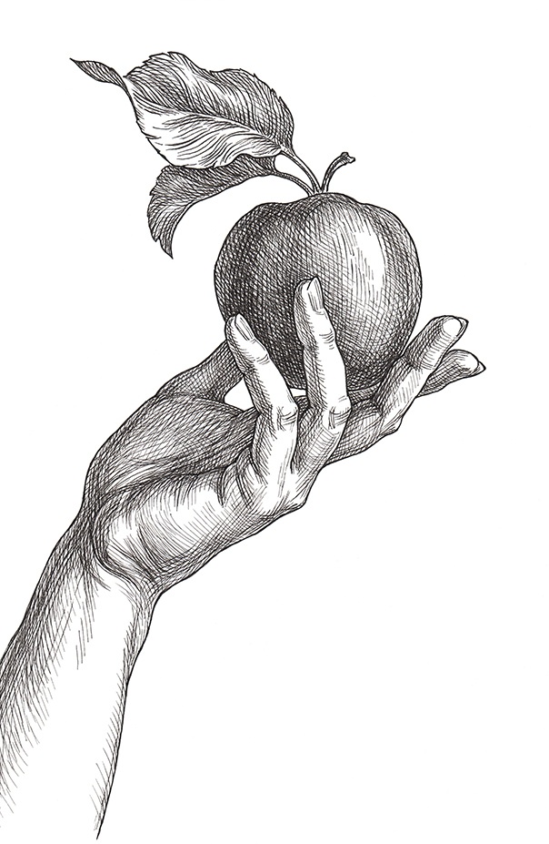 ������� ����