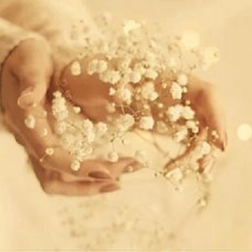 ������ �����������