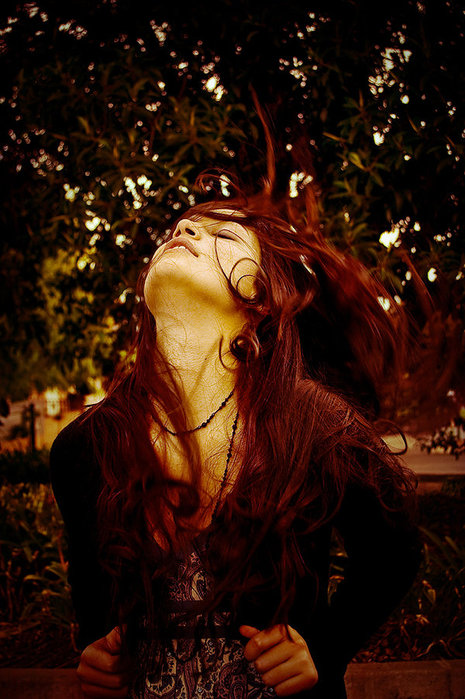 ����� ���� ���