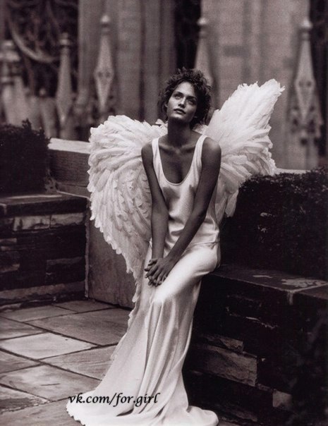 ���� �������� ������