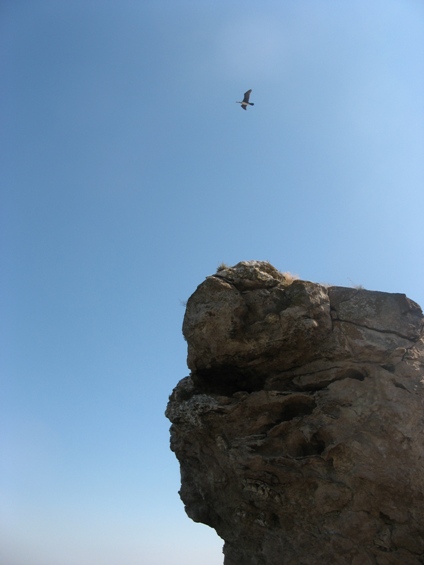 Пятый Ветер