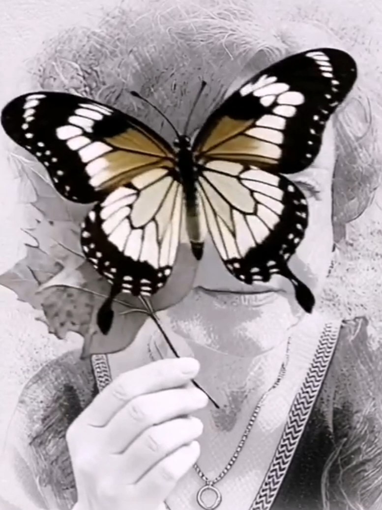 ����� �������