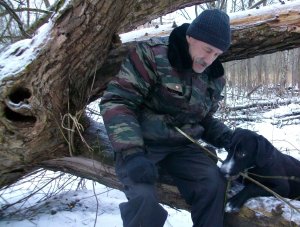 ������� ������ ������