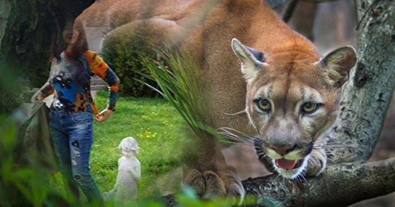 ������� �������� �������1