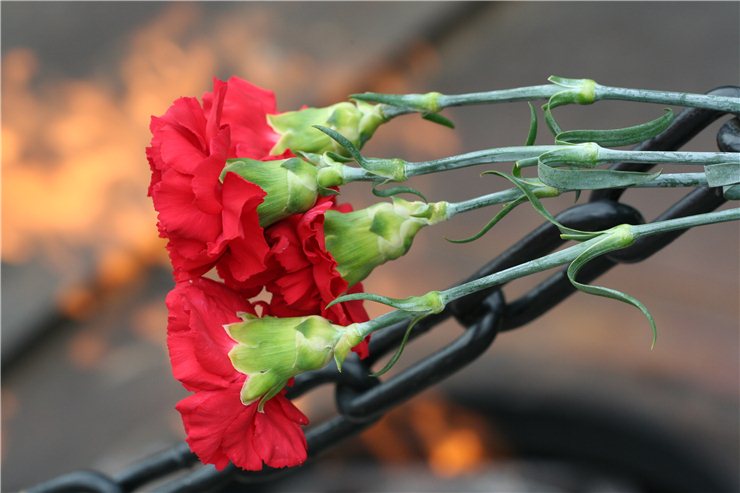 ��������� ��������