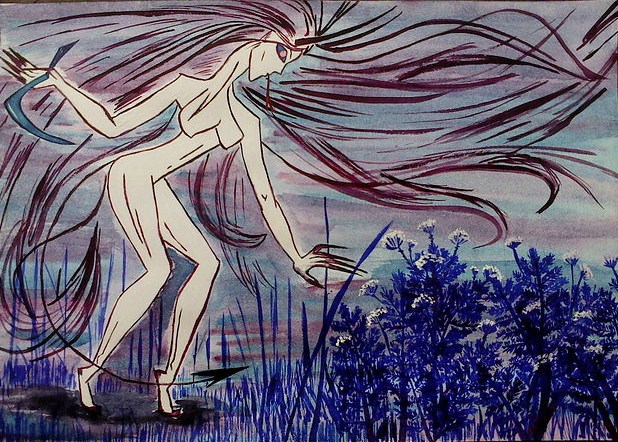 ���� ������