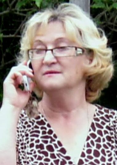 ���� �����������