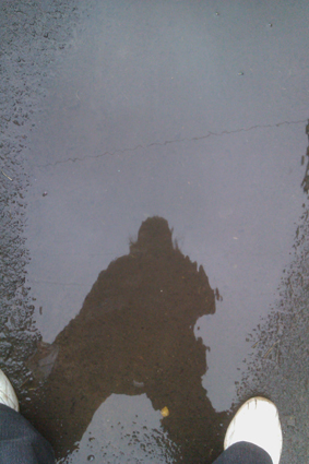 Вероника Москвина