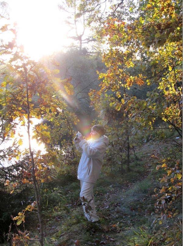 Вера Николера