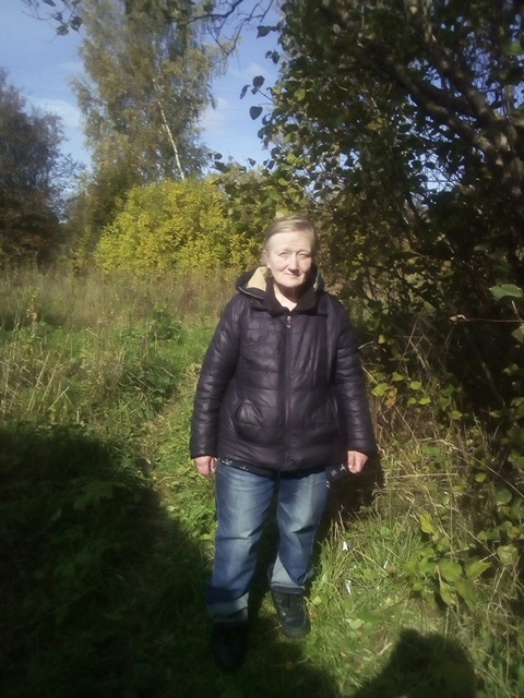 ���� ���������